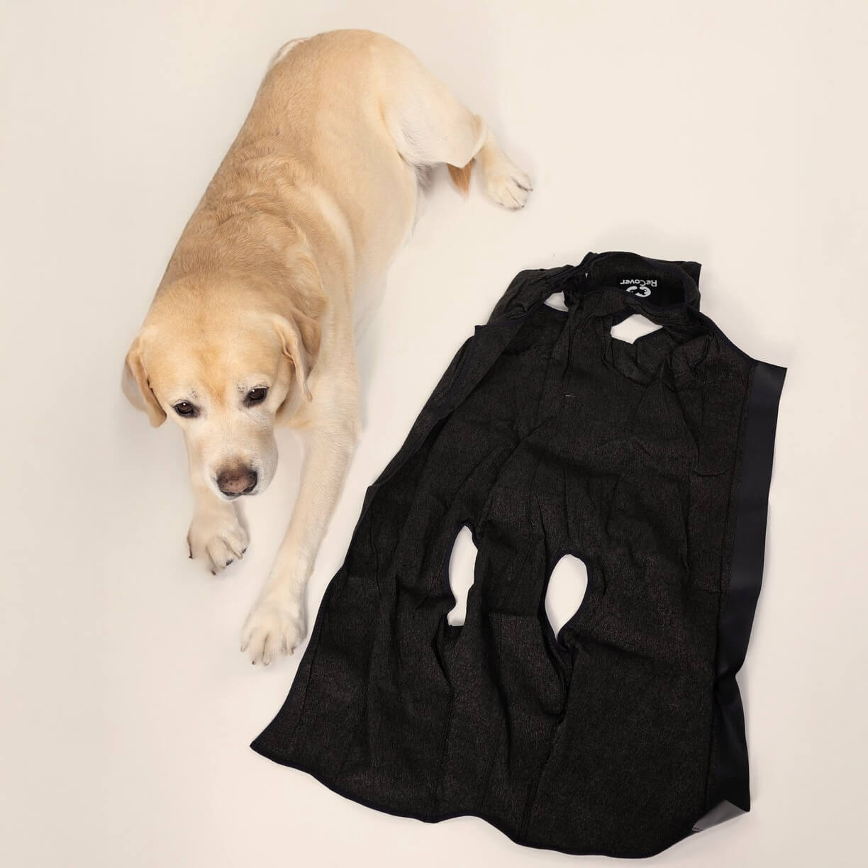 ReCover Pet Care DogCover recovery suit laid flat showing breathable antimicrobial fabric