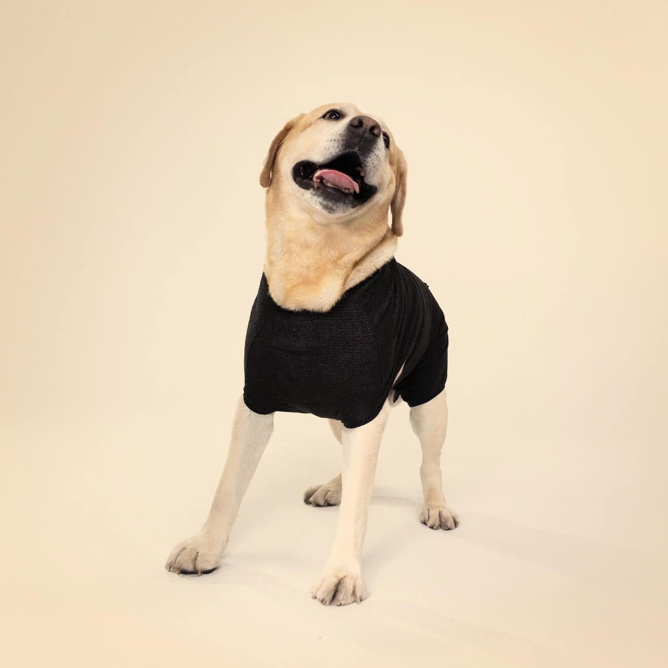 ReCover Pet Care DogCover surgical recovery suit packaging for dogs