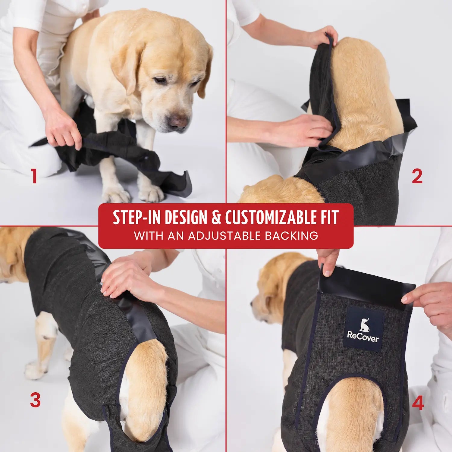 ReCover Petcare - Lifestyle Quad Step-In