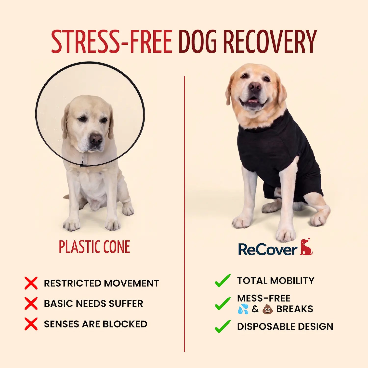 ReCover Petcare - No Cone Comparison