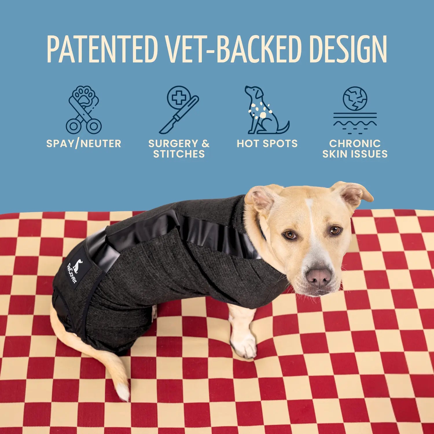 ReCover Petcare - Vet-Backed Design