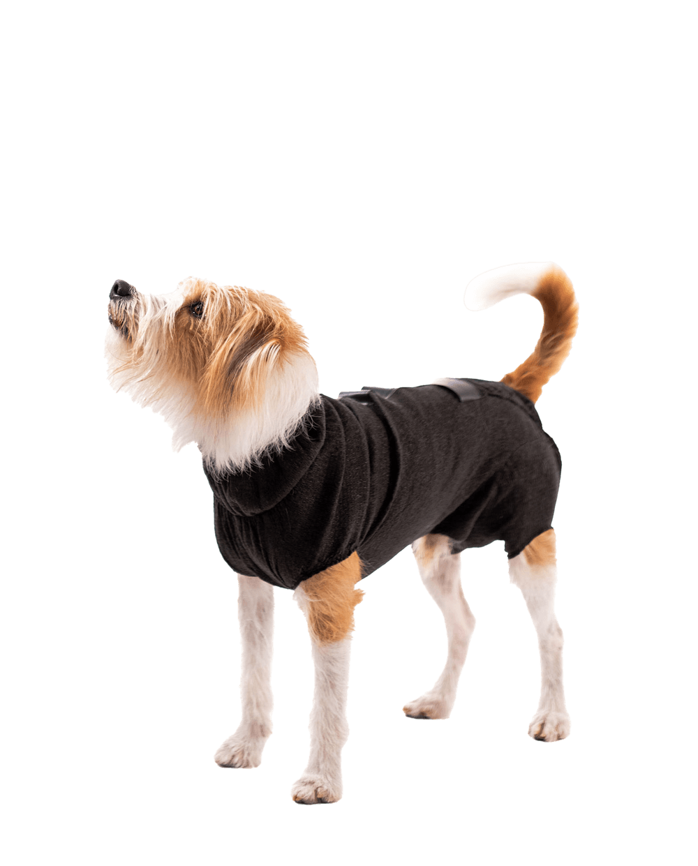Recover Petcare DogCover Single Suit