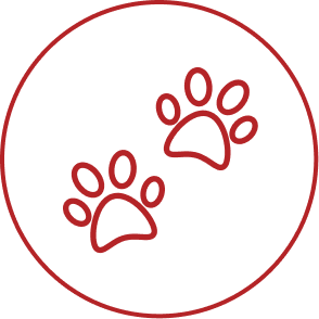 Step-in & go—no wrestling required - Recover Petcare DogCover.